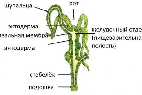 Кракен нарк