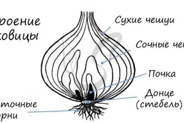 Кракен at сегодня работает ли